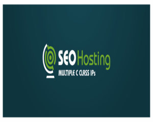 SEO Hosting Nedir?